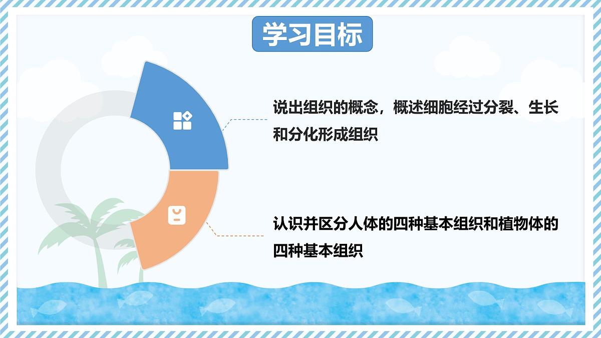 1.2.2组织的形成（教学课件）——初中生物学冀少版（2024）七年级上册第2页