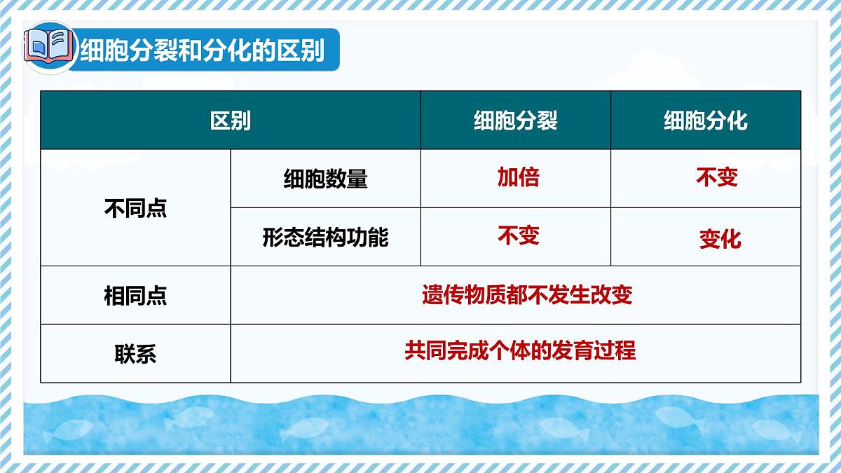 1.2.2组织的形成（教学课件）——初中生物学冀少版（2024）七年级上册第7页