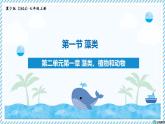 2.1.1藻類（教學(xué)課件）——初中生物學(xué)冀少版（2024）七年級上冊