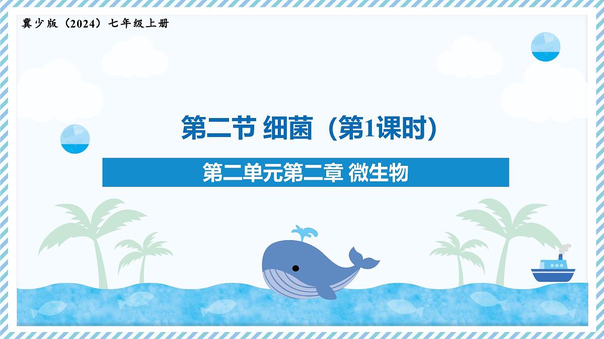 2.2.2细菌-第1课时（教学课件）——初中生物学冀少版（2024）七年级上册第1页