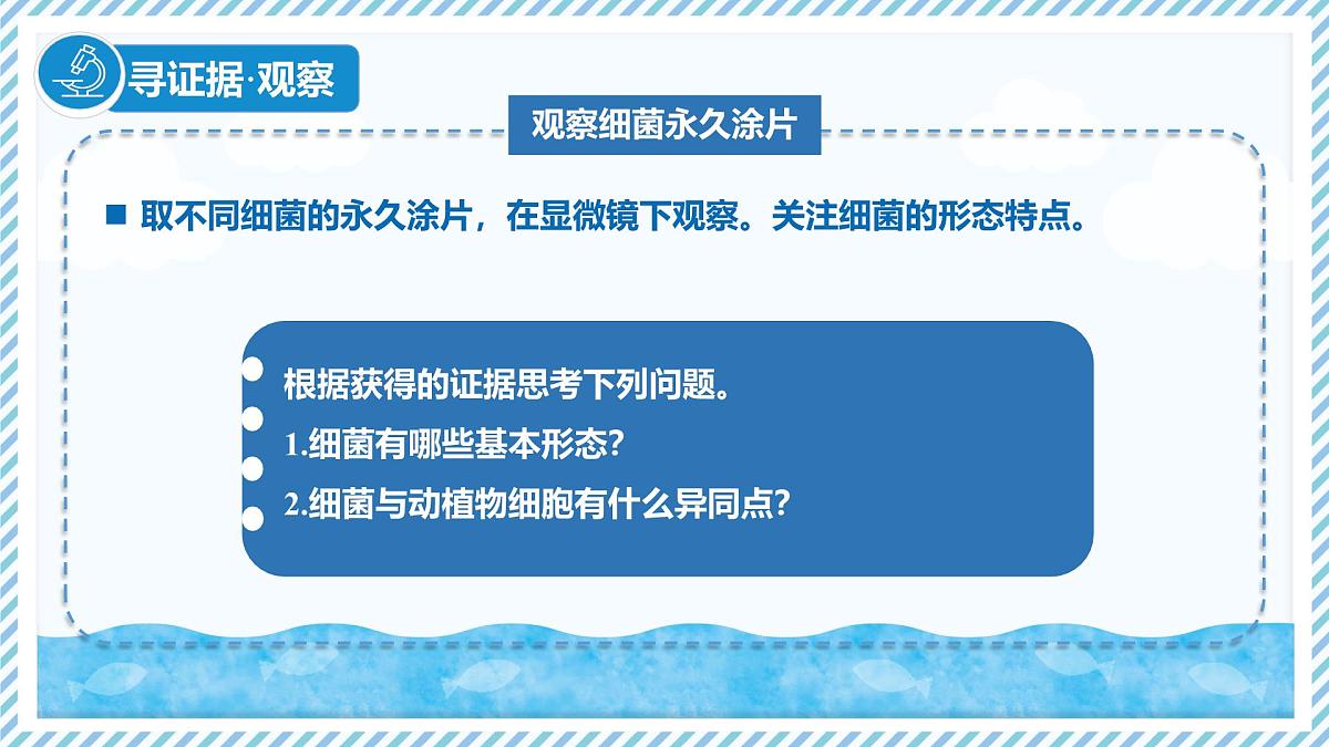 2.2.2细菌-第1课时（教学课件）——初中生物学冀少版（2024）七年级上册第4页