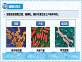 2.2.2細菌-第1課時（教學(xué)課件）——初中生物學(xué)冀少版（2024）七年級上冊