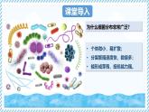 2.2.2細(xì)菌-第2課時（教學(xué)課件）——初中生物學(xué)冀少版（2024）七年級上冊