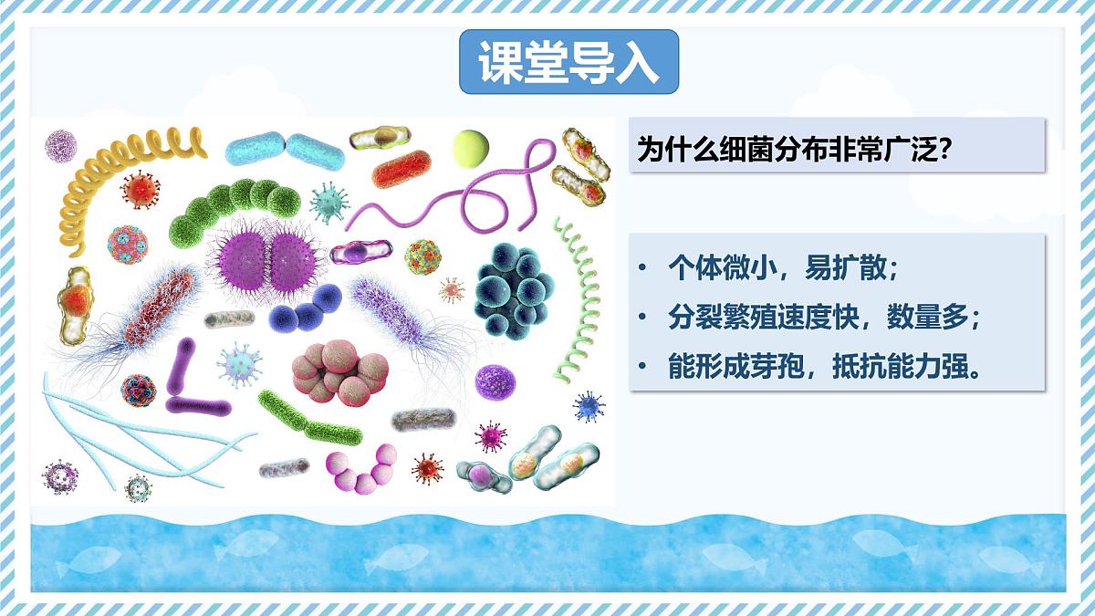 2.2.2细菌-第2课时（教学课件）——初中生物学冀少版（2024）七年级上册第3页