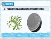 2.2.2細(xì)菌-第2課時（教學(xué)課件）——初中生物學(xué)冀少版（2024）七年級上冊