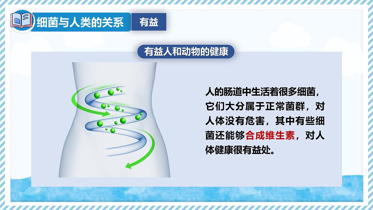 2.2.2细菌-第2课时（教学课件）——初中生物学冀少版（2024）七年级上册第8页