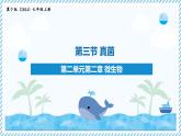 2.2.3真菌（教學(xué)課件）——初中生物學(xué)冀少版（2024）七年級上冊