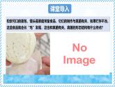2.2.3真菌（教學(xué)課件）——初中生物學(xué)冀少版（2024）七年級上冊