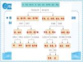 2.3.1生物的分類（教學課件）——初中生物學冀少版（2024）七年級上冊