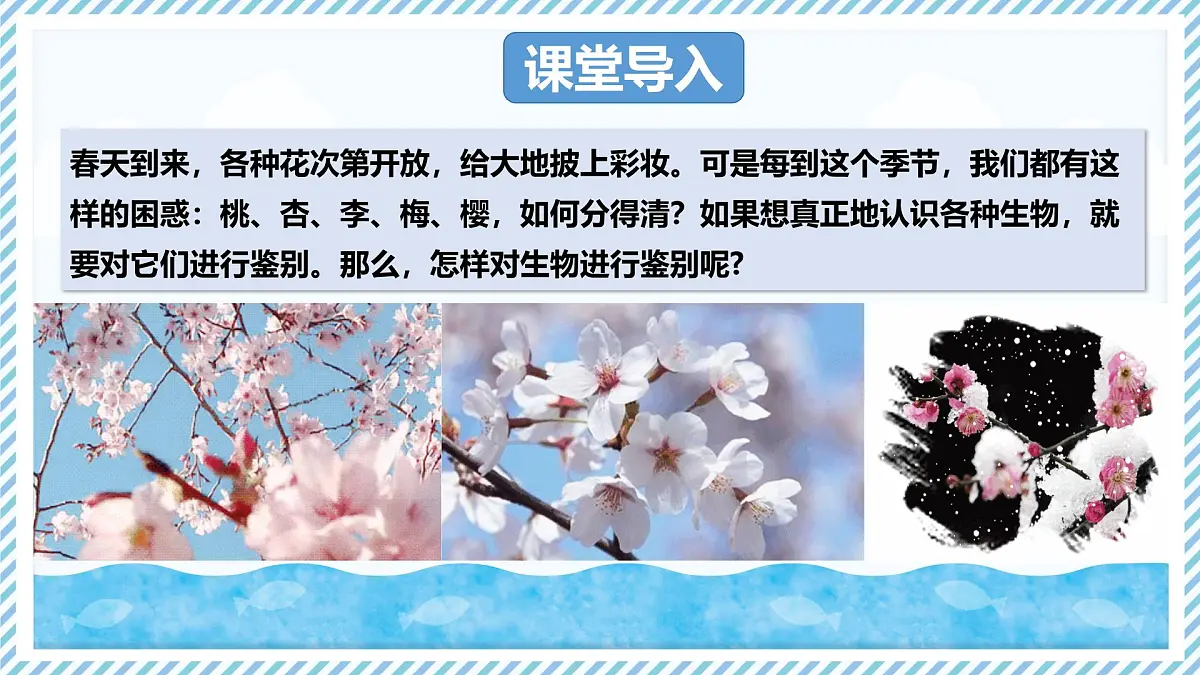 2.3.2生物的鉴别（教学课件）——初中生物学冀少版（2024）七年级上册第3页
