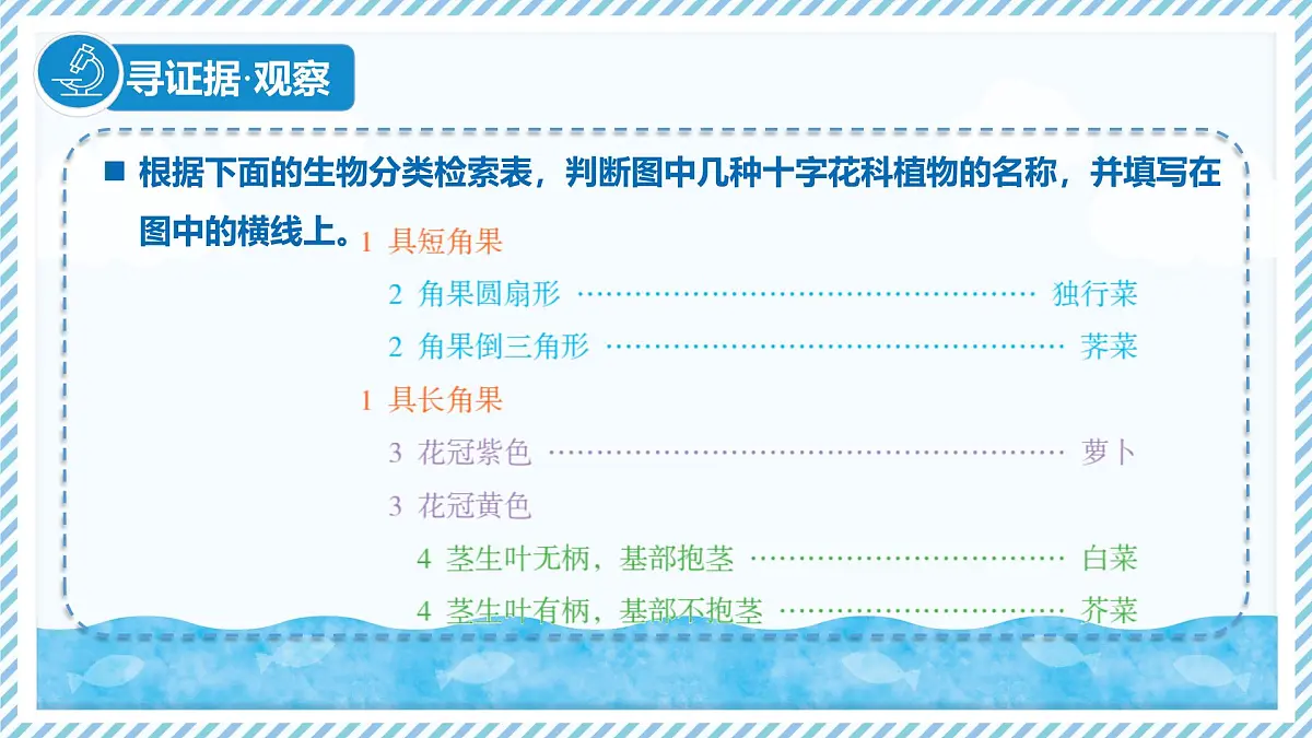 2.3.2生物的鉴别（教学课件）——初中生物学冀少版（2024）七年级上册第4页