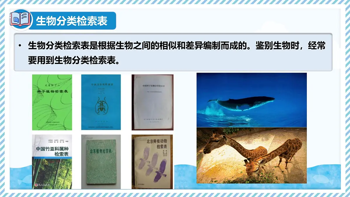 2.3.2生物的鉴别（教学课件）——初中生物学冀少版（2024）七年级上册第7页