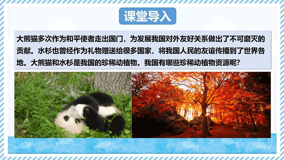 2.4.1我国的珍稀动植物资源（教学课件）——初中生物学冀少版（2024）七年级上册第3页