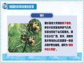 2.4.1我國(guó)的珍稀動(dòng)植物資源（教學(xué)課件）——初中生物學(xué)冀少版（2024）七年級(jí)上冊(cè)