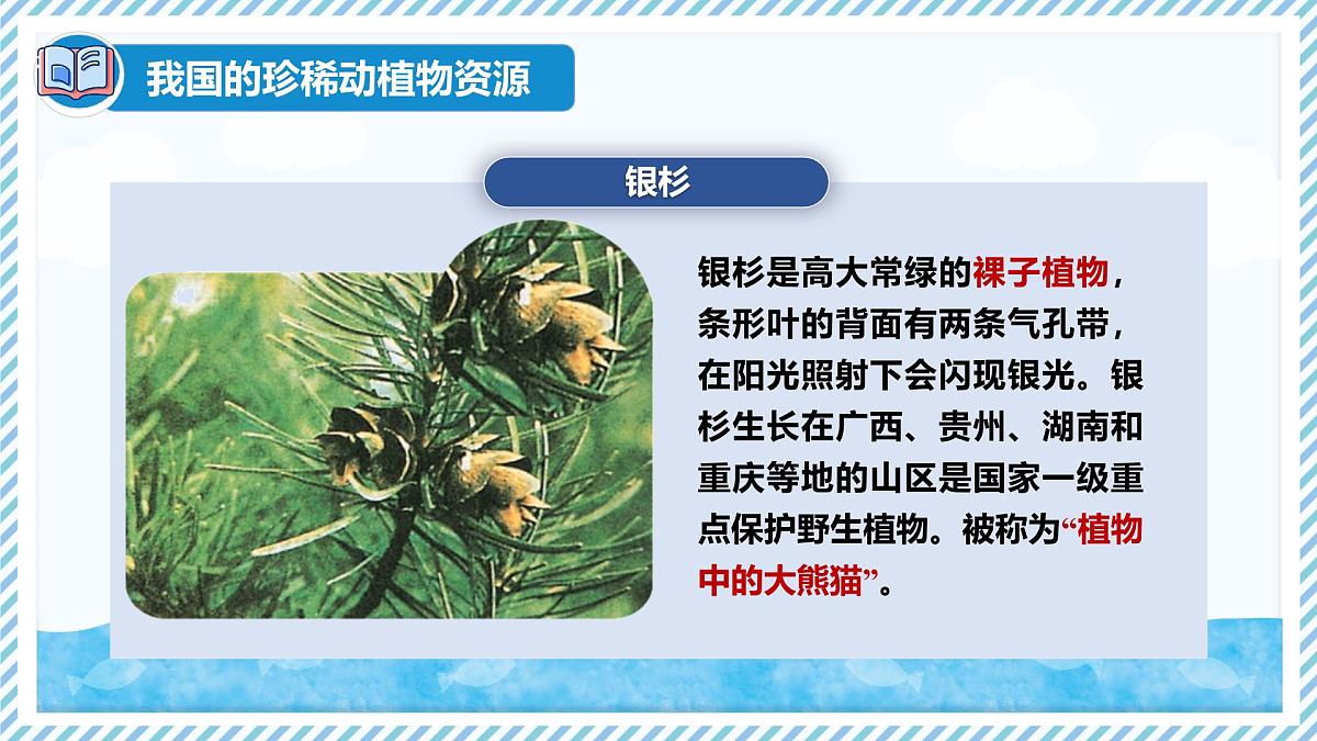 2.4.1我国的珍稀动植物资源（教学课件）——初中生物学冀少版（2024）七年级上册第5页
