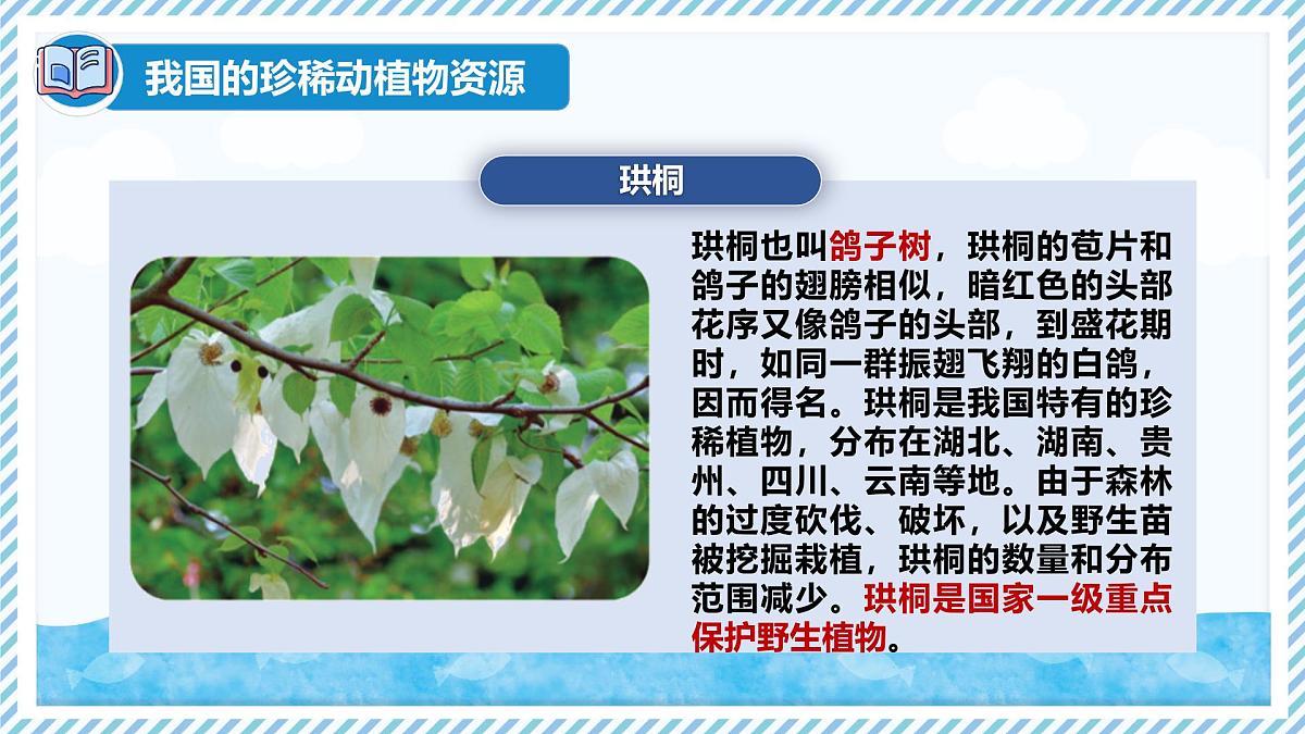 2.4.1我国的珍稀动植物资源（教学课件）——初中生物学冀少版（2024）七年级上册第6页