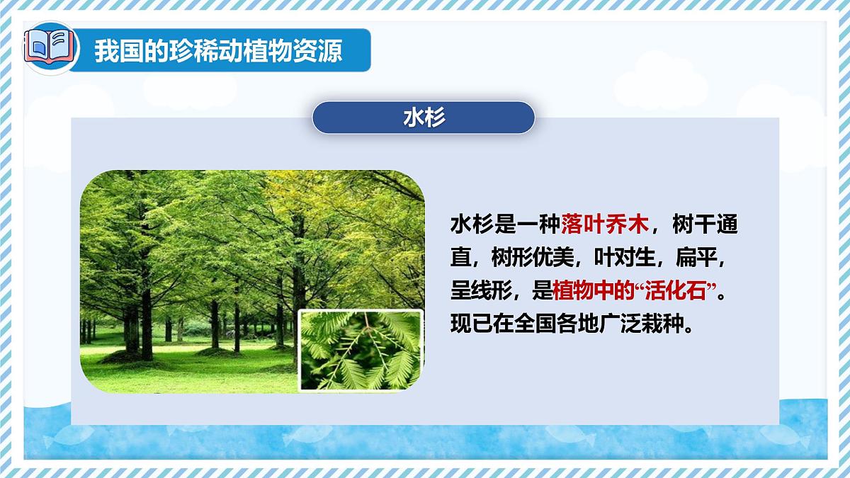 2.4.1我国的珍稀动植物资源（教学课件）——初中生物学冀少版（2024）七年级上册第7页