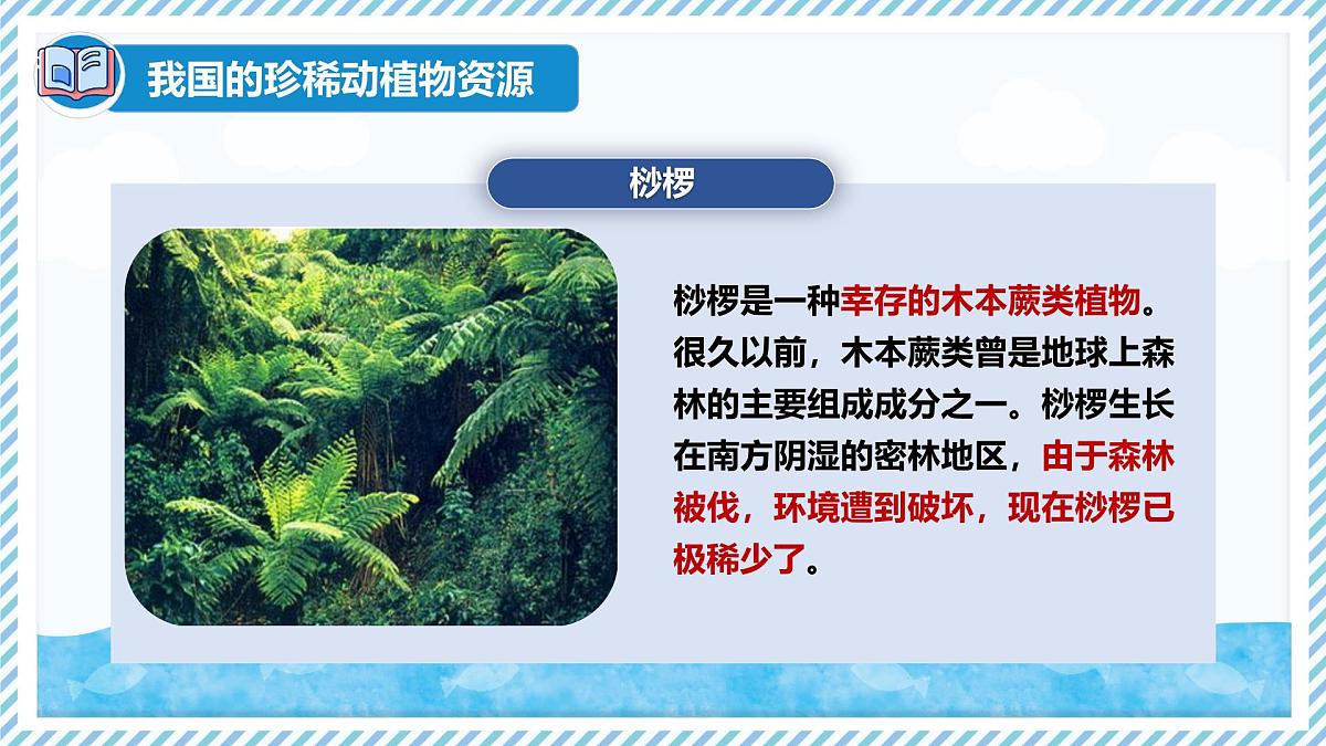 2.4.1我国的珍稀动植物资源（教学课件）——初中生物学冀少版（2024）七年级上册第8页