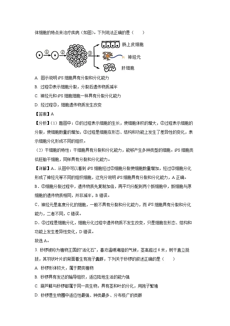 【生物】2025年山东省济南市历城区八年级中考二模试题（解析版）第2页