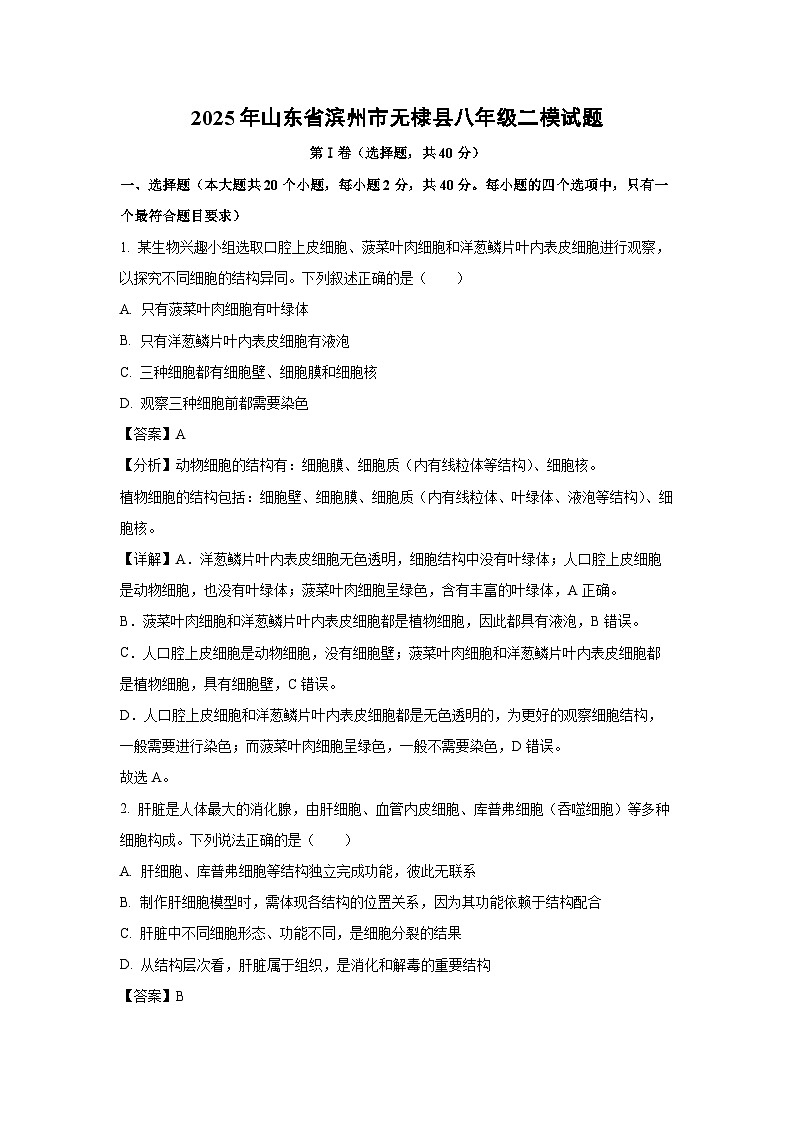 【生物】2025年山东省滨州市无棣县八年级二模试题（解析版）第1页