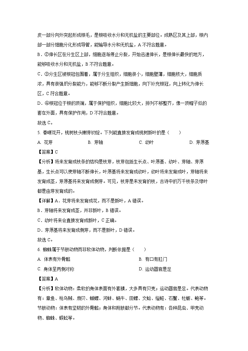 【生物】2025年辽宁省葫芦岛市连山区中考二模试题（解析版）第3页