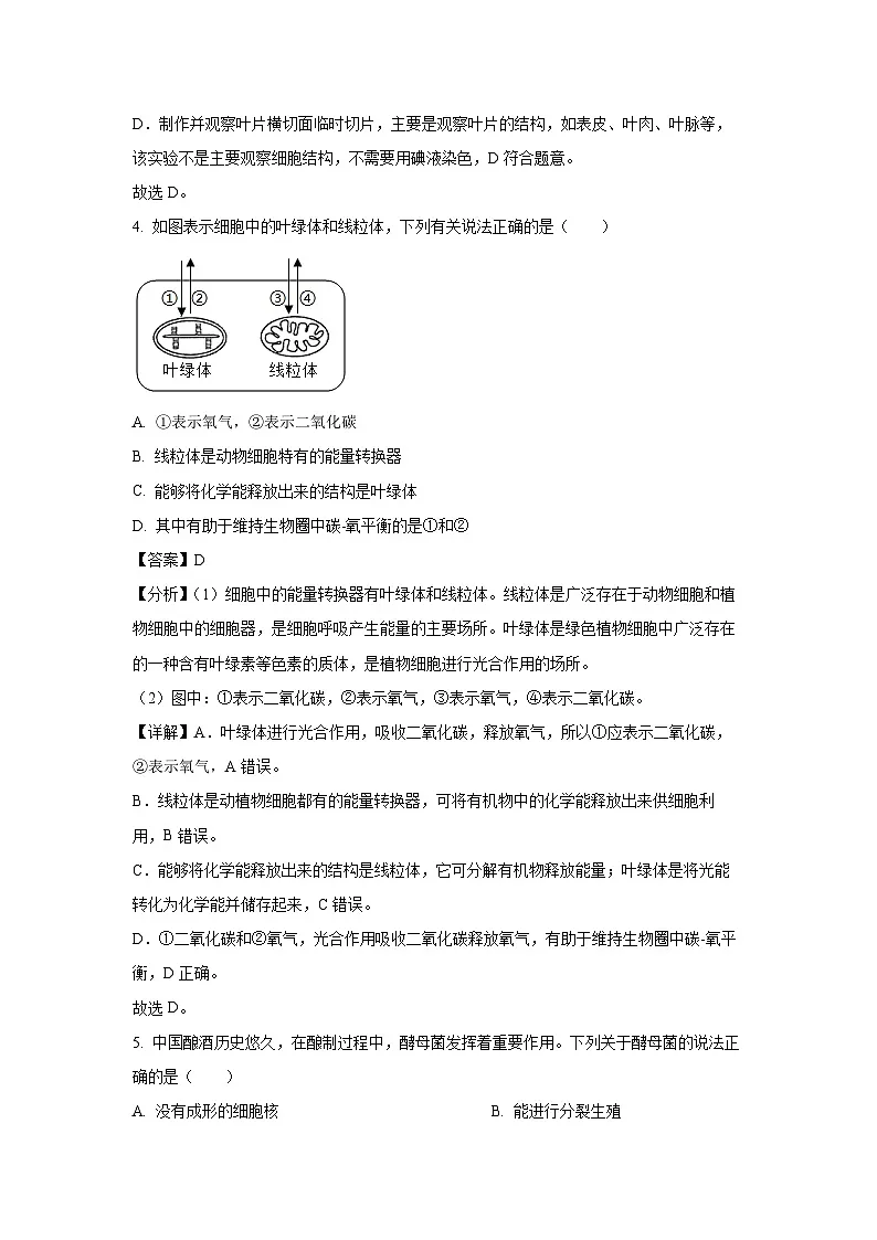 【生物】2025年山东省德州市宁津县八年级中考二模试题（解析版）第3页