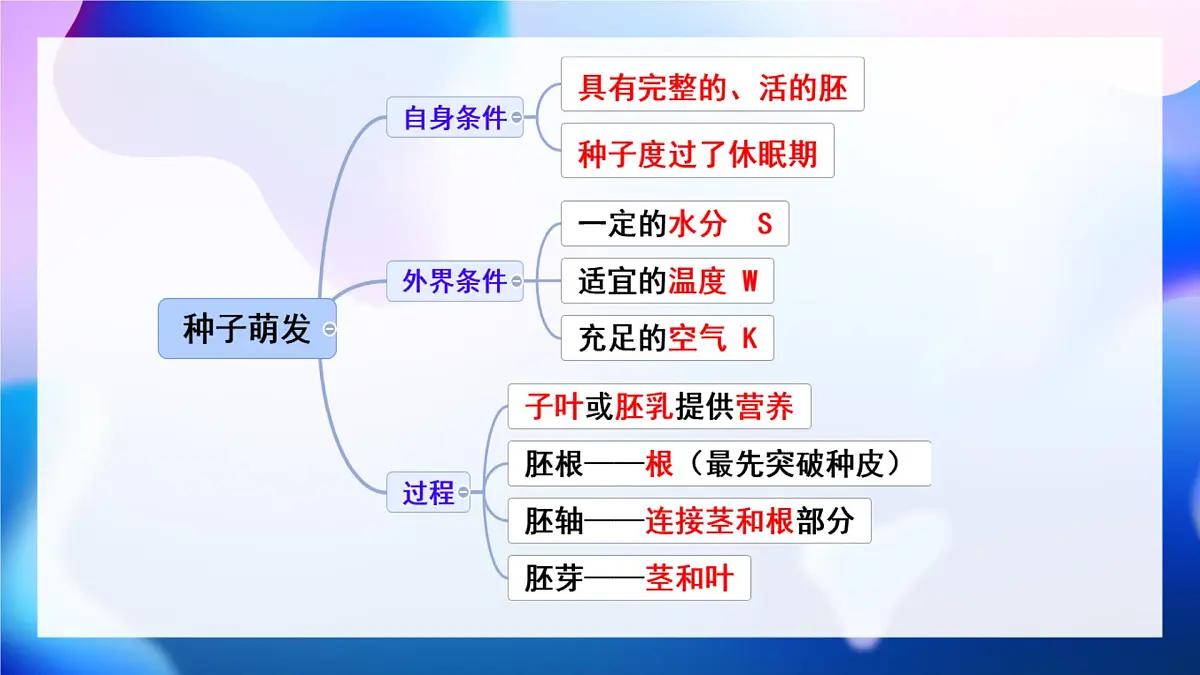 新人教版七下生物复习课件第2页
