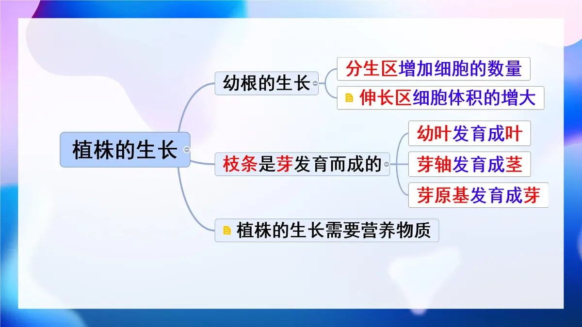 新人教版七下生物复习课件第3页