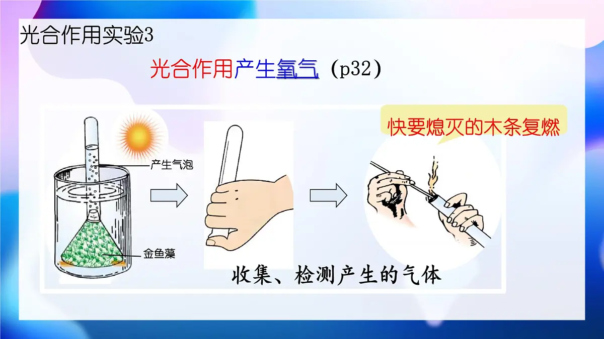 新人教版七下生物复习课件第8页