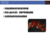 初中  生物  北師大版（2024）  七年級(jí)下冊(cè)4.7.1 血液 課件