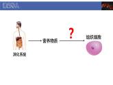 初中  生物  北師大版（2024）  七年級(jí)下冊(cè)4.7.1 血液 課件