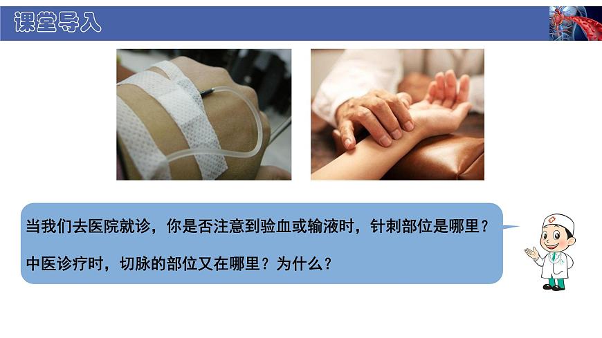 初中  生物  北师大版（2024）  七年级下册4.7.2 血液循环 课件第3页