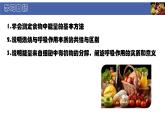 初中  生物  北師大版（2024）  七年級下冊4.8.1 食物中能量的釋放 課件