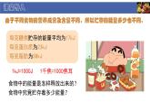 初中  生物  北師大版（2024）  七年級下冊4.8.1 食物中能量的釋放 課件