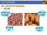 初中  生物  北師大版（2024）  七年級下冊4.8.1 食物中能量的釋放 課件