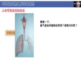 初中  生物  北師大版（2024）  七年級(jí)下冊(cè)4.8.2 人體細(xì)胞獲得氧氣的過(guò)程 課件