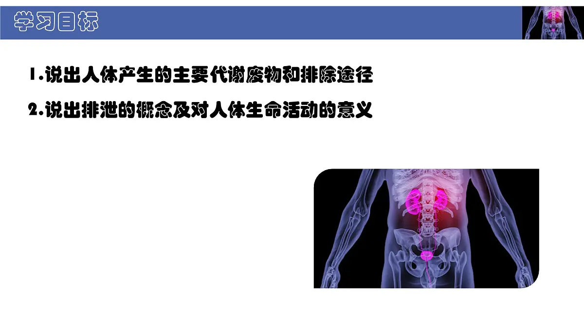 初中 生物 北师大版（2024） 七年级下册4.9.1 人体产生的代谢废物 课件第2页