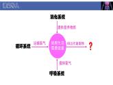 初中  生物  北師大版（2024）  七年級(jí)下冊(cè)4.9.1 人體產(chǎn)生的代謝廢物 課件