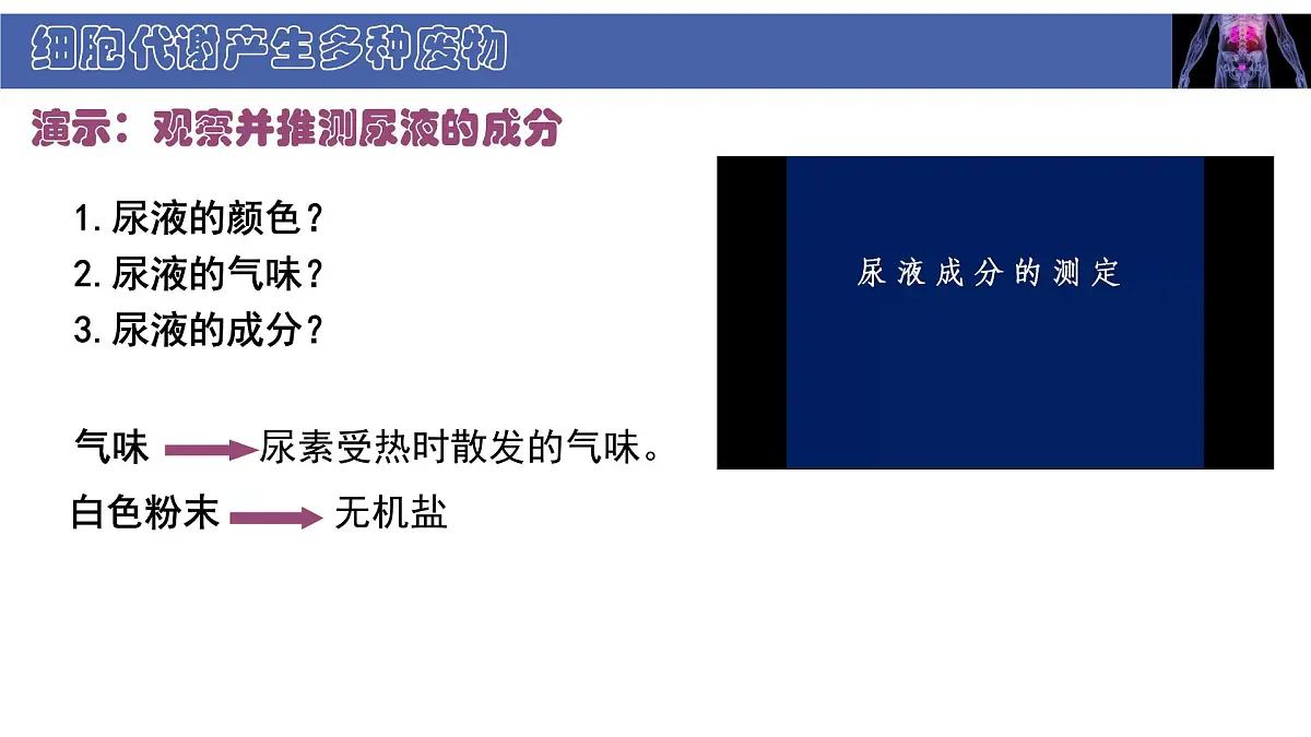 初中 生物 北师大版（2024） 七年级下册4.9.1 人体产生的代谢废物 课件第5页