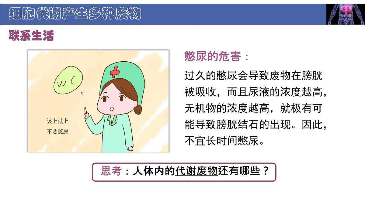 初中 生物 北师大版（2024） 七年级下册4.9.1 人体产生的代谢废物 课件第6页