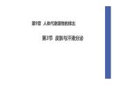初中  生物  北師大版（2024）  七年級下冊4.9.3 皮膚與汗液分泌 課件
