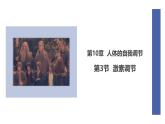 初中  生物  北師大版（2024）  七年級(jí)下冊(cè)4.10.3 激素調(diào)節(jié) 課件