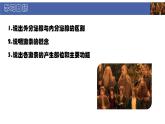 初中  生物  北師大版（2024）  七年級(jí)下冊(cè)4.10.3 激素調(diào)節(jié) 課件
