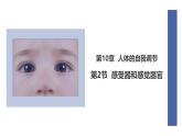 初中  生物  北師大版（2024）  七年級下冊4.10.2 感受器和感覺器官 課件