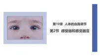 北师大版（2024）七年级下册（2024）感受器和感觉器官教课课件ppt