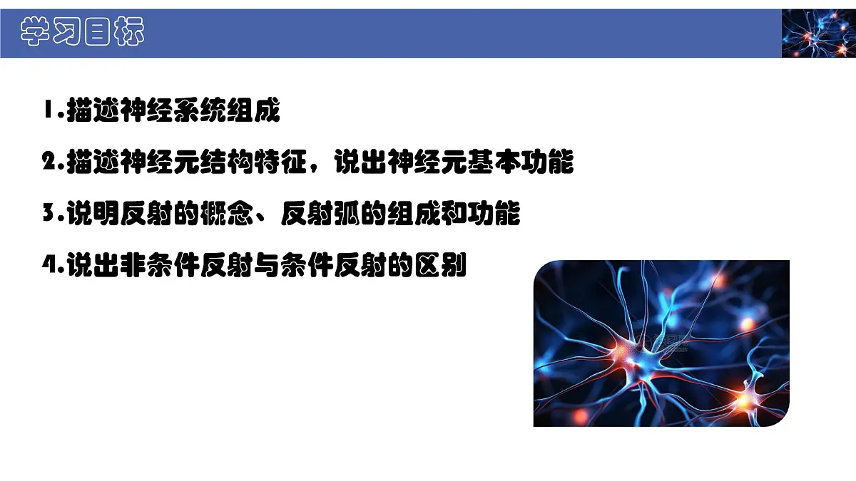 初中 生物 北师大版（2024） 七年级下册4.10.1 神经系统与神经调节 课件第2页