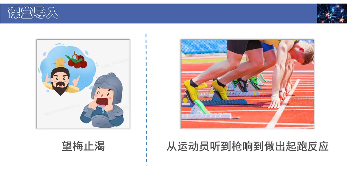 初中 生物 北师大版（2024） 七年级下册4.10.1 神经系统与神经调节 课件第3页