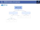初中  生物  北師大版（2024）  七年級下冊4.10.1 神經系統(tǒng)與神經調節(jié) 課件