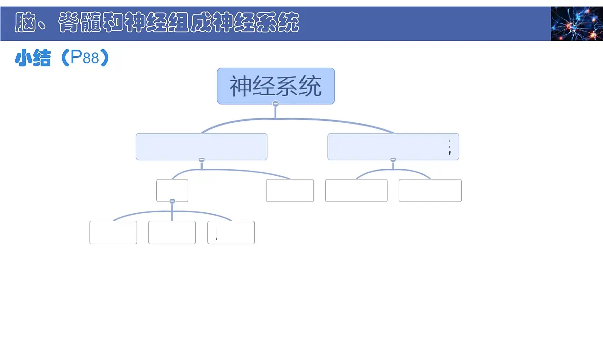 初中 生物 北师大版（2024） 七年级下册4.10.1 神经系统与神经调节 课件第5页