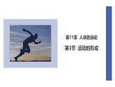初中  生物  北師大版（2024）  七年級下冊4.11.3 運動的形成 課件